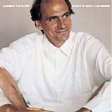 James Taylor - That's Why I'm Here