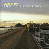 Various artists - Light of Day: A Tribute to Bruce Springsteen