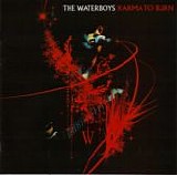 Waterboys, The - Karma To Burn