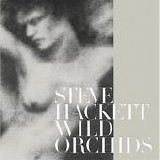 Hackett, Steve - Wild Orchids