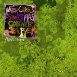 Animal Collective? - Water Curses?