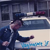 Vaginasore Jr. - This Here Peninsula...