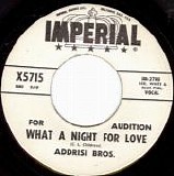 Addrisi Bros. - What A Night For Love/Four Little Girls (US Promo)