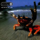 Prodigy - The Fat of the Land