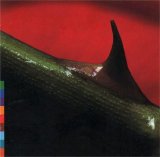 Nusrat Fateh Ali Khan & Michael Brook - Night Song