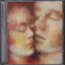 Steve Hackett - Momentum