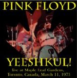 Pink Floyd - Yeeshkul!