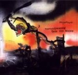 Pink Floyd - Vierundzwanzig Teile von Nichts
