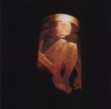 Alice in Chains - Nothing Safe
