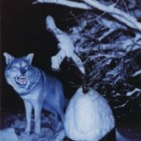 Throes Of Dawn - Pakkasherra