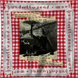 Dieter Meier - hunderttausend Wort
