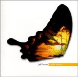 Jeff Larson - Fragile Sunrise