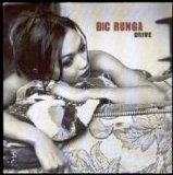 Bic Runga - Drive