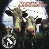 Various artists - Aerosmith Tribute: Not The Same Old Song & Dance