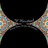 Of Montreal - Hissing Fauna, Are You The Destroyer?