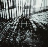 Daylight Dies - Live From The Relapse Contamination Festival