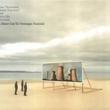 Teenage Fanclub - Four Thousand Seven Hundred and Sixty-Six Seconds: A Short Cut to Teenage Fanclub