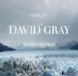 Gray, David - Life In Slow Motion