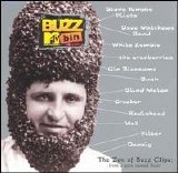 Various artists - MTV Buzz Bin