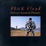 Pink Floyd - Delicate Sound Of Thunder