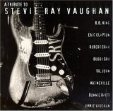 Various artists - A Tribute To Stevie Ray Vaughan