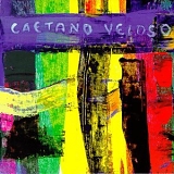 Caetano Veloso - Livro