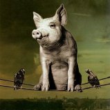 Pink Floyd - Who Was Trained Not To Spit On The Fan?