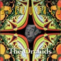 Backworld - The Orchids