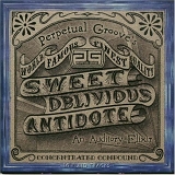 Perpetual Groove - Sweet Oblivious Antidote