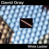 David Gray - White Ladder