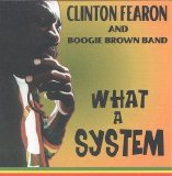 Clinton Fearon - What a System: with The Boogie Brown Band