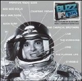 Various artists - MTV Buzz Bin Vol 2