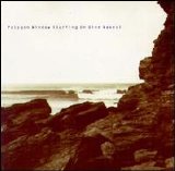 Polygon Window - Surfing on Sine Waves