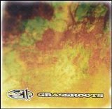 311 - Grassroots