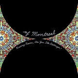 Of Montreal - Hissing Fauna, Are You the Destroyer?