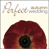 Intwine - Perfect