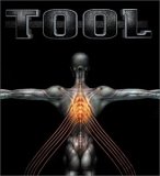 Tool - Salival