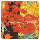 Colors Of The Land - Autumn Leaves