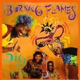 Burning Flames - Dig