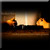 Broken Hero - Loaded Questions and Empty Gestures
