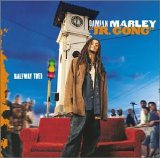 Damian "Junior Gong" Marley - Mr. Marley