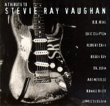 Various artists - A Tribute To Stevie Ray Vaughan