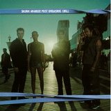 Skunk Anansie - Post Orgasmic Chill [ENHANCED CD]