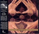 John Zorn - Masada Guitars