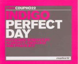 Indigo - Perfect Day Remix
