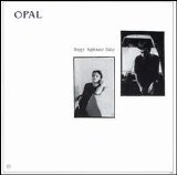 Opal - Happy Nightmare Baby