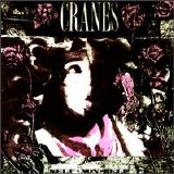 Cranes - Self-Non-Self
