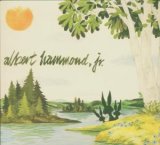 Albert Hammond, Jr. - Yours To Keep