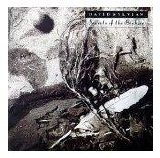 David Sylvian - Secrets of the Beehive (Reissue)
