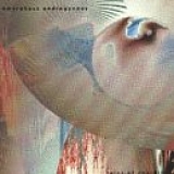 Amorphous Androgynous - Tales of Ephidrina